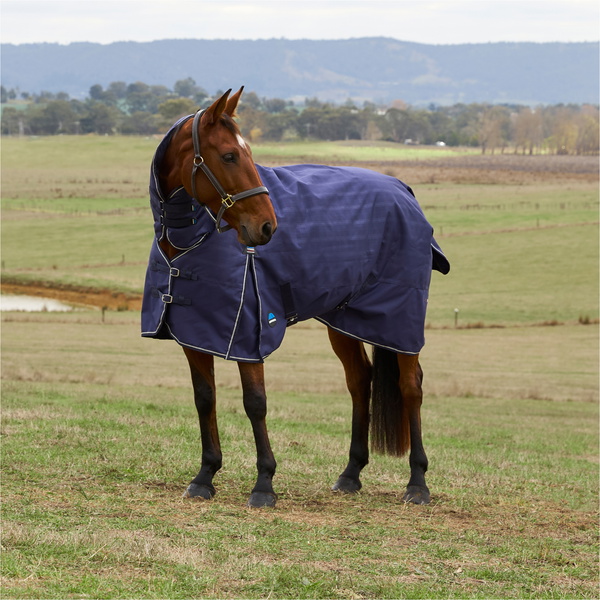 2025 Weatherbeeta Comfitec Préliminaire Turnout Combo 220G 1029030 - Navy Embossed Plaid